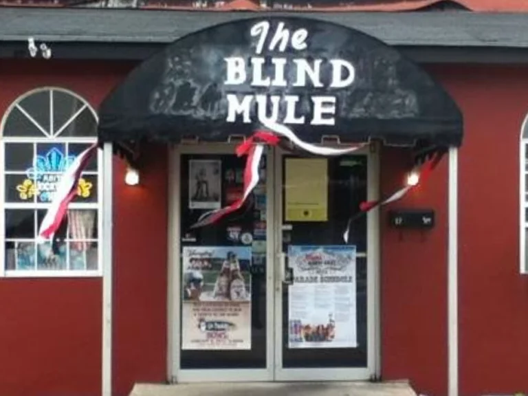The Blind Mule